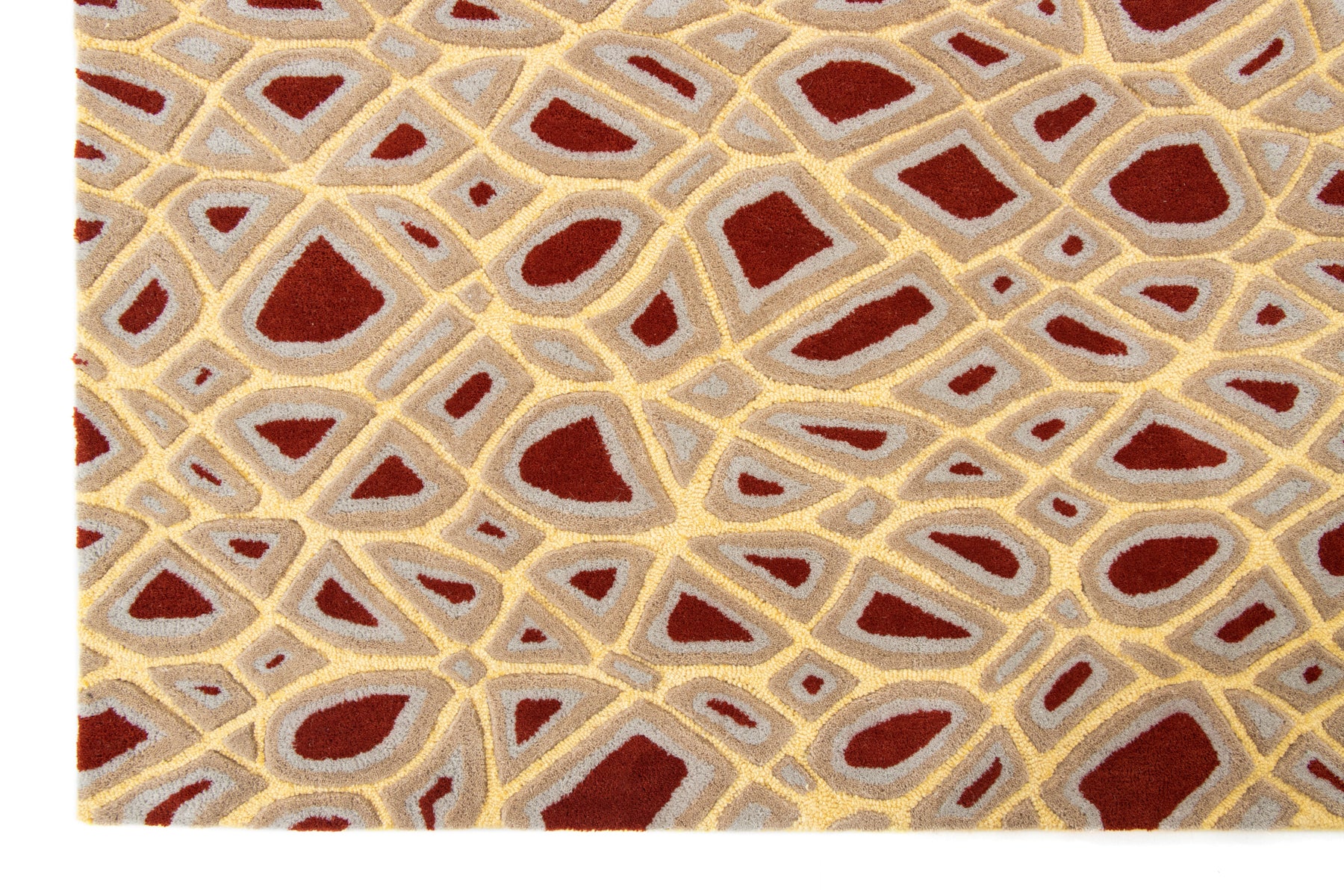 area Rugs, bedroom rugs, living room rugs | Beyond rugs