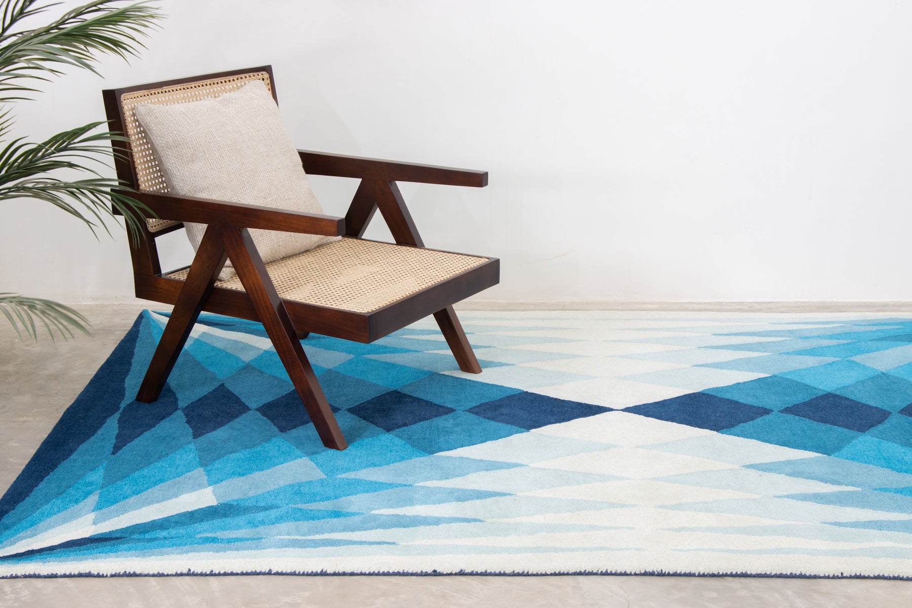 area Rugs, bedroom rugs, living room rugs | Beyond rugs