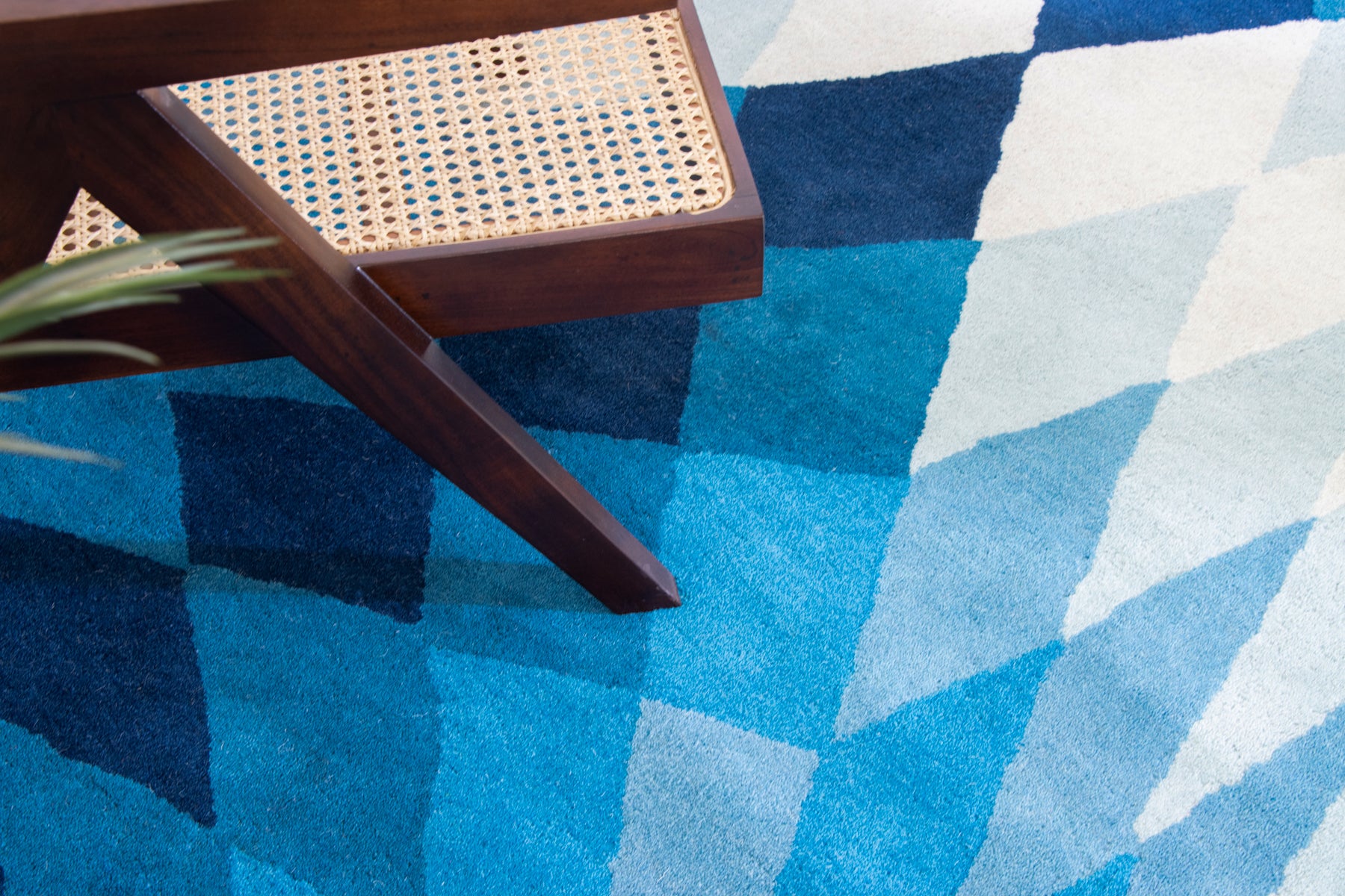 area Rugs, bedroom rugs, living room rugs | Beyond rugs
