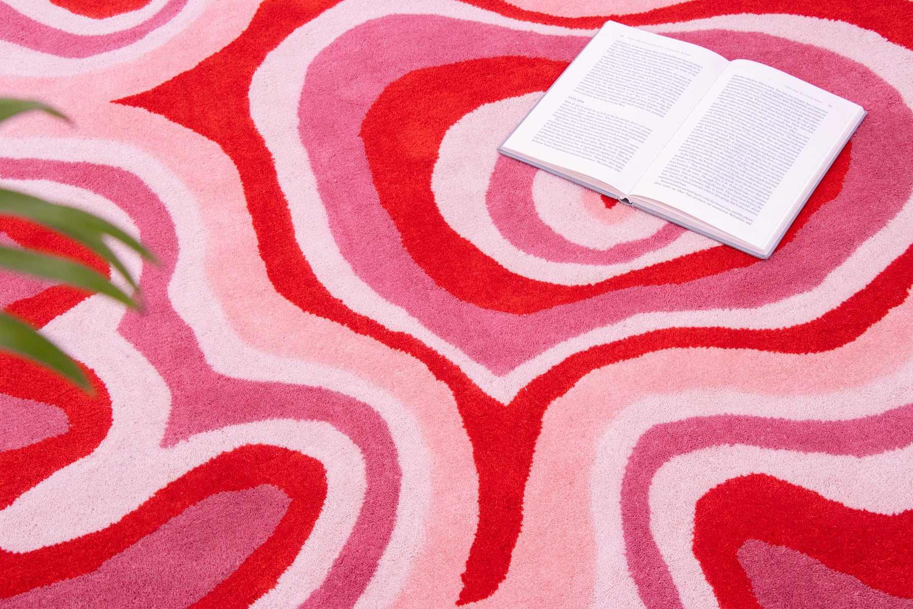 area Rugs, splash rugs ,floor rugs and more| Beyond rugs