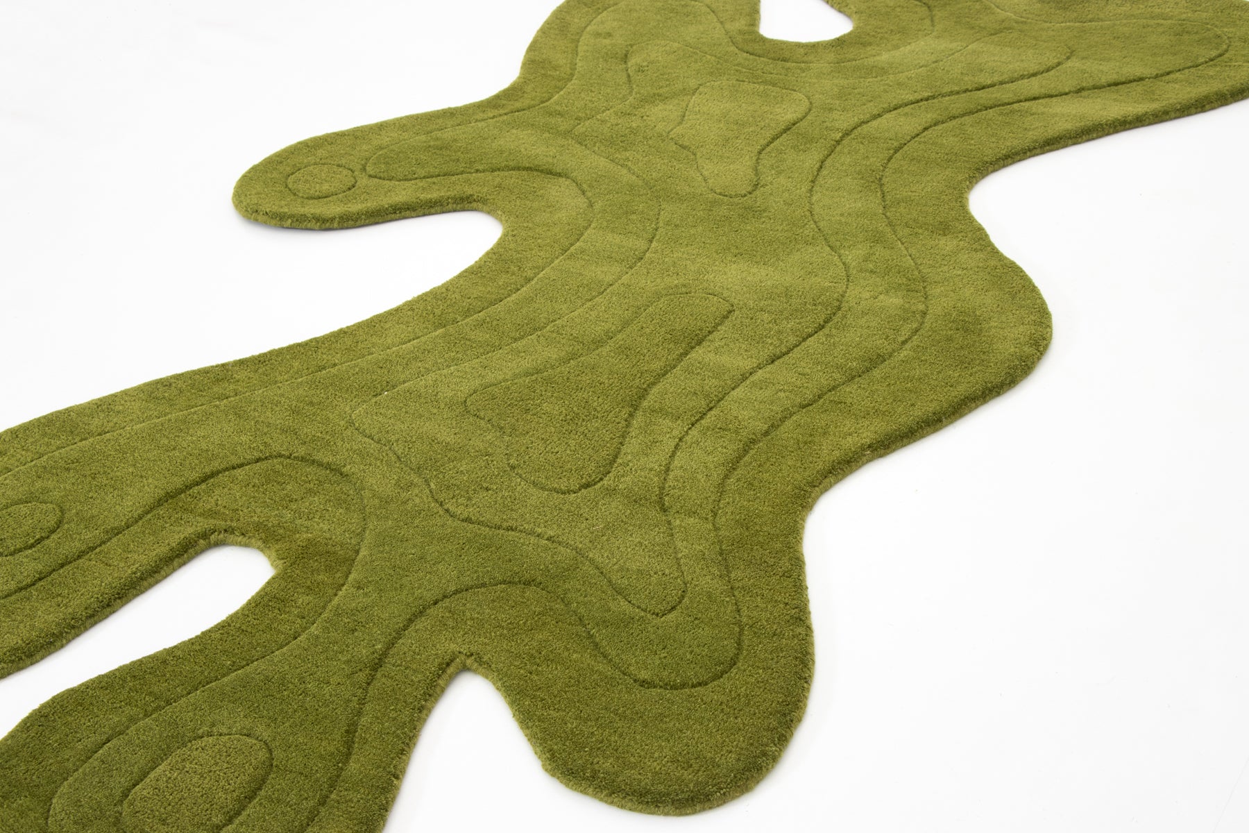 AMOEBA ALGAE