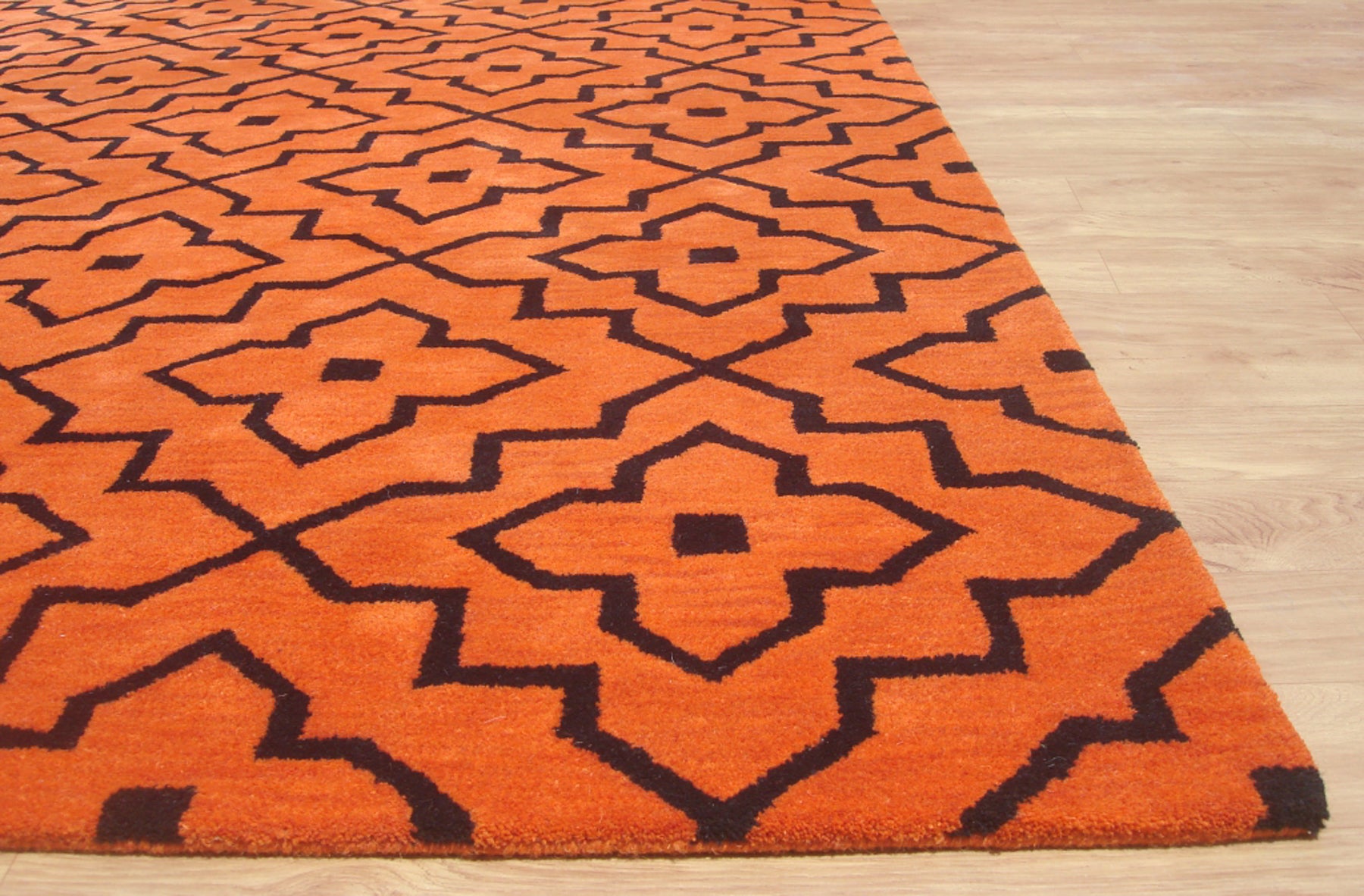 Lilly Orange
