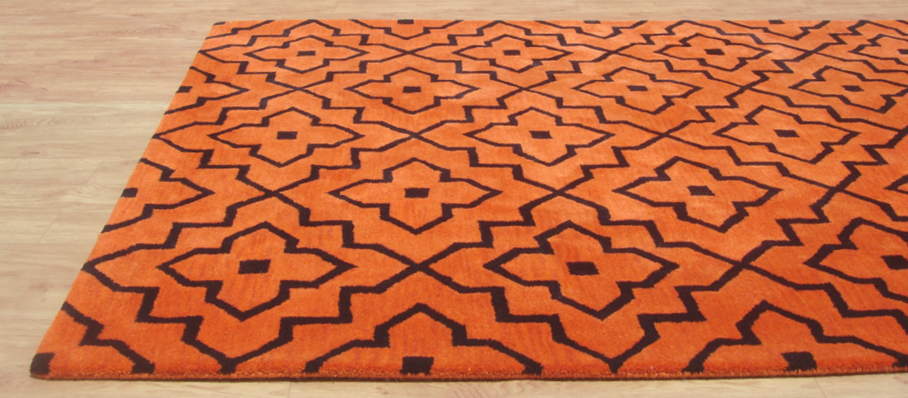 Lilly Orange