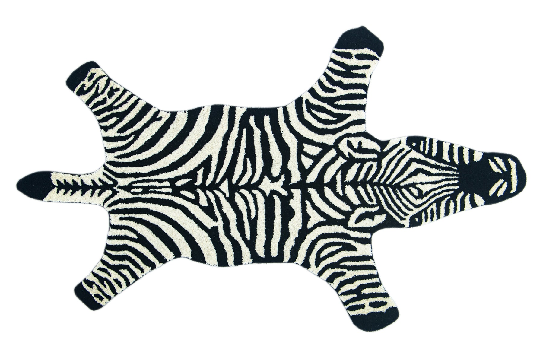 Zebra Kid