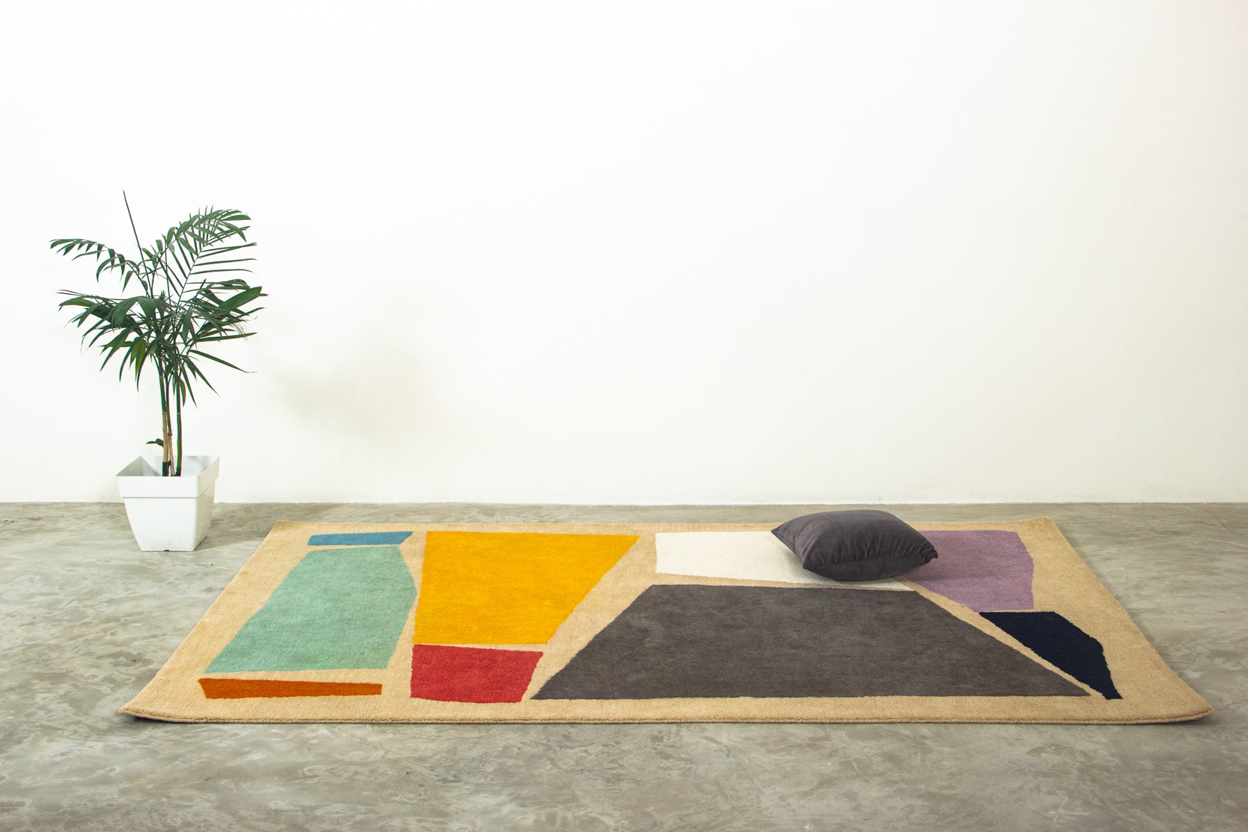  area Rugs, bedroom rugs, living room rugs | Beyond rugs